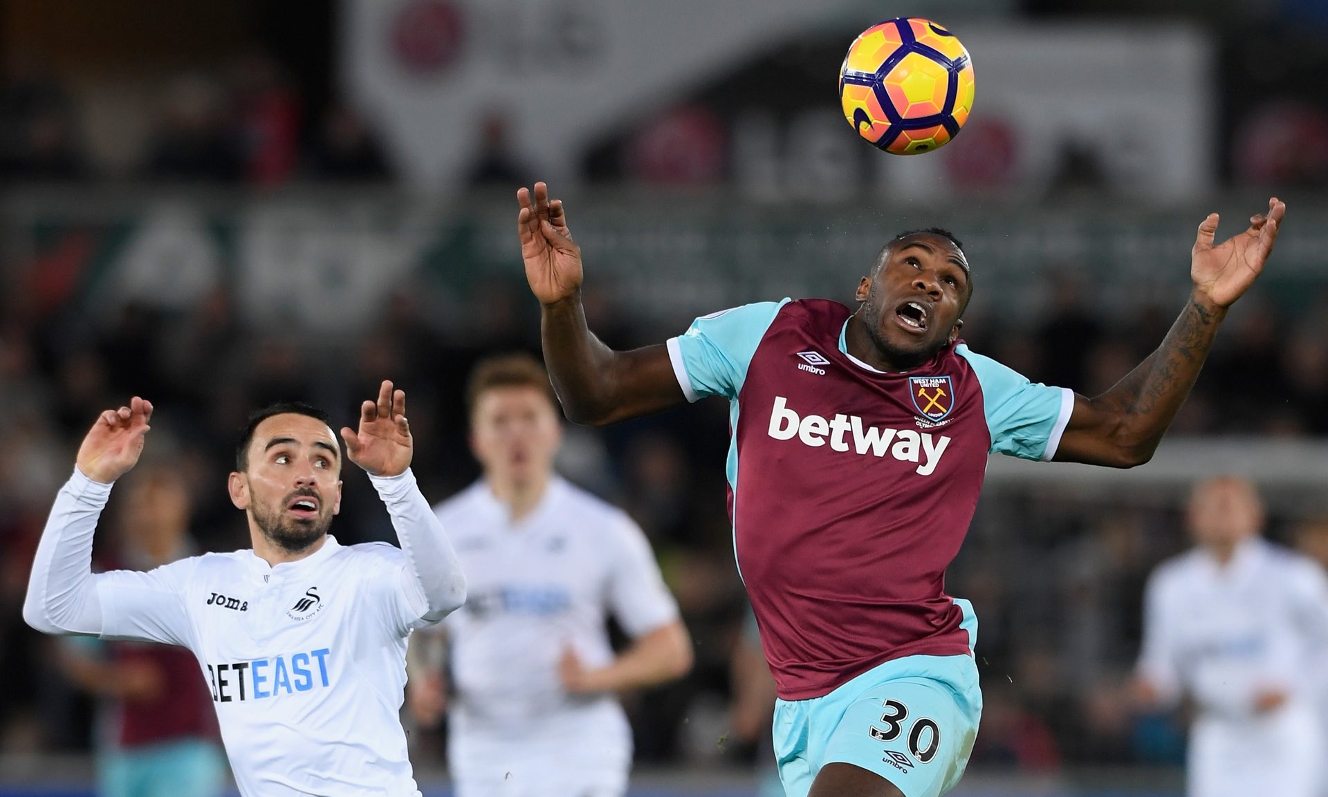 分析人士的 分析人士的